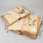 1167 6331 Herbarium